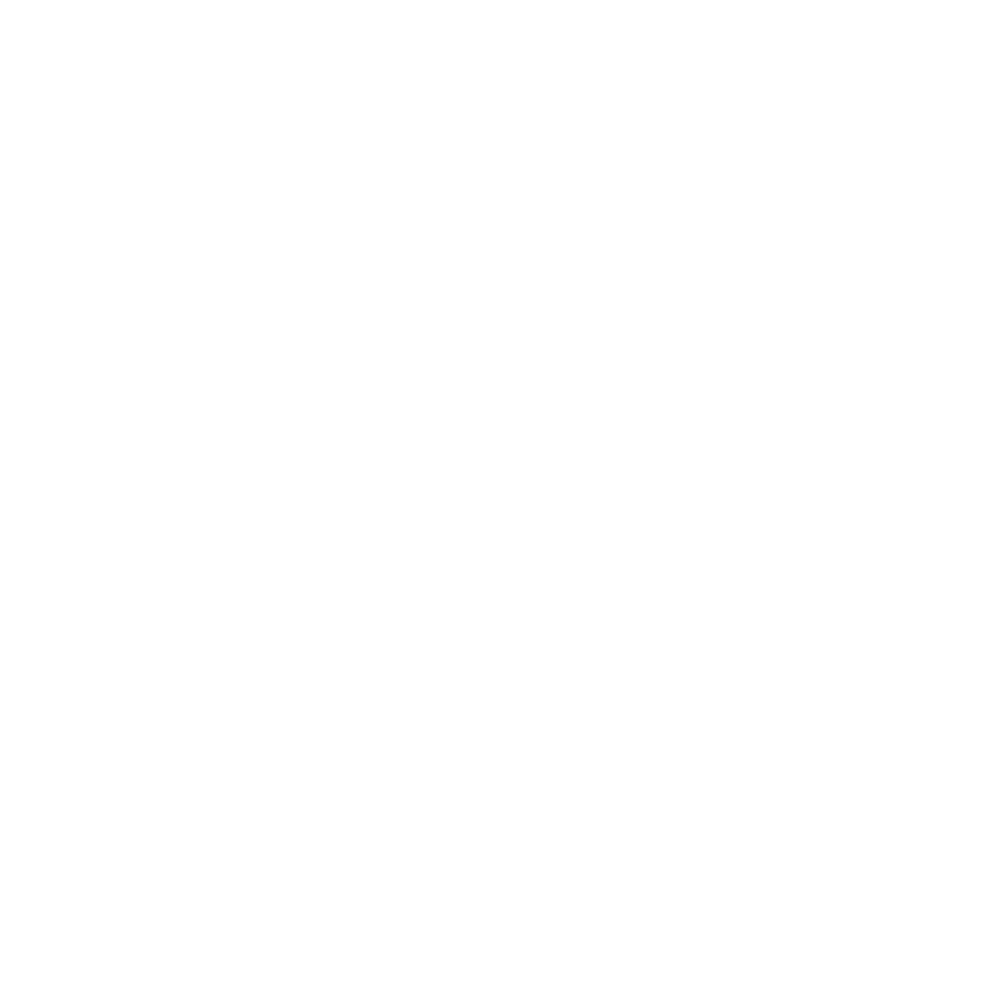 Uzņēmuma logo